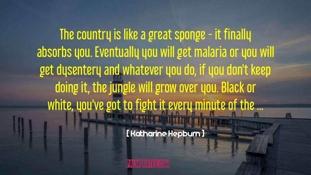 Congo quotes by Katharine Hepburn