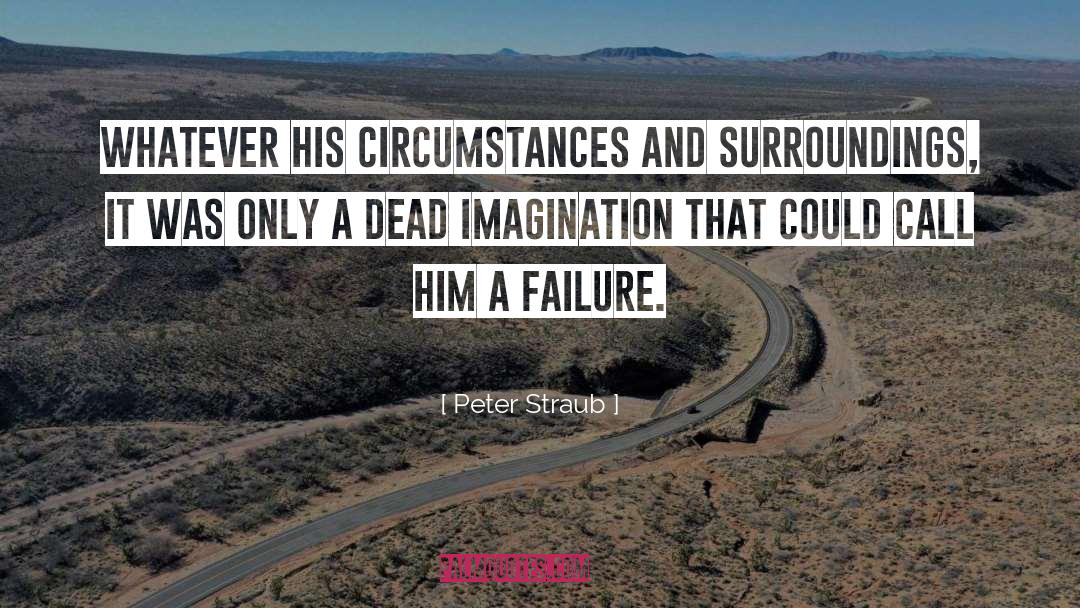 Congressional Failure quotes by Peter Straub