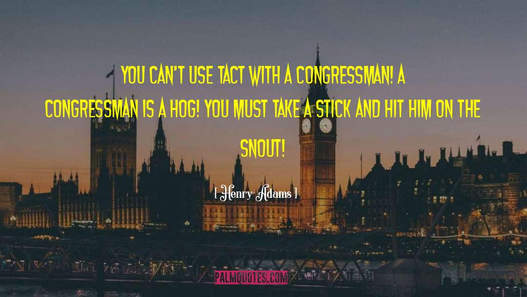 Congressman quotes by Henry Adams