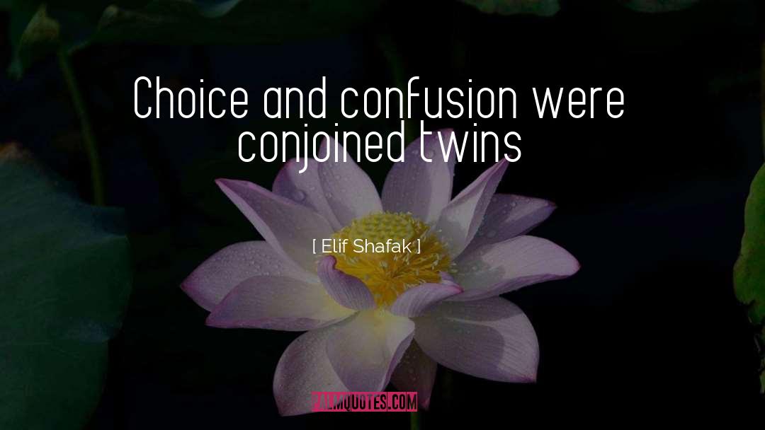 Conjoined Twins quotes by Elif Shafak