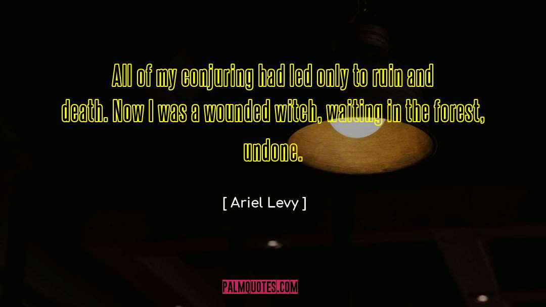 Conjuring quotes by Ariel Levy