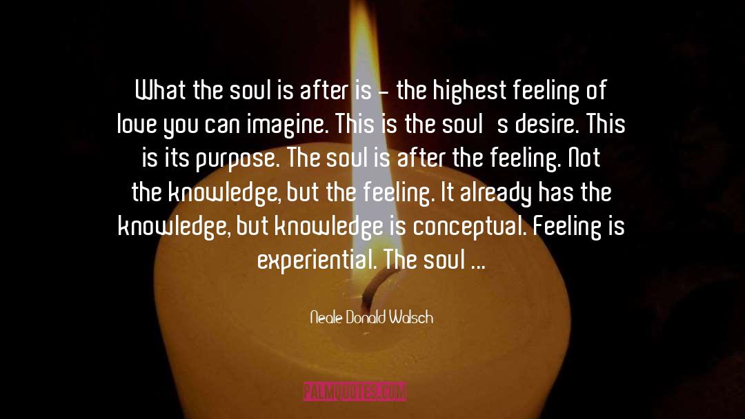 Connect To The Soul quotes by Neale Donald Walsch