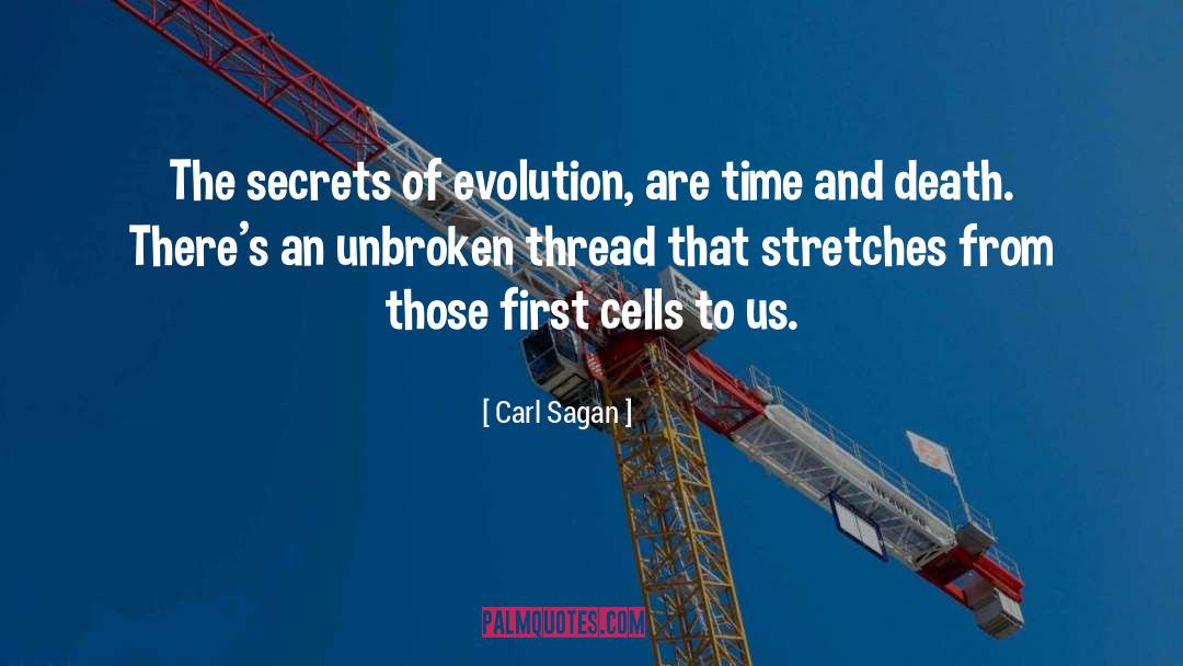 Connectedness quotes by Carl Sagan