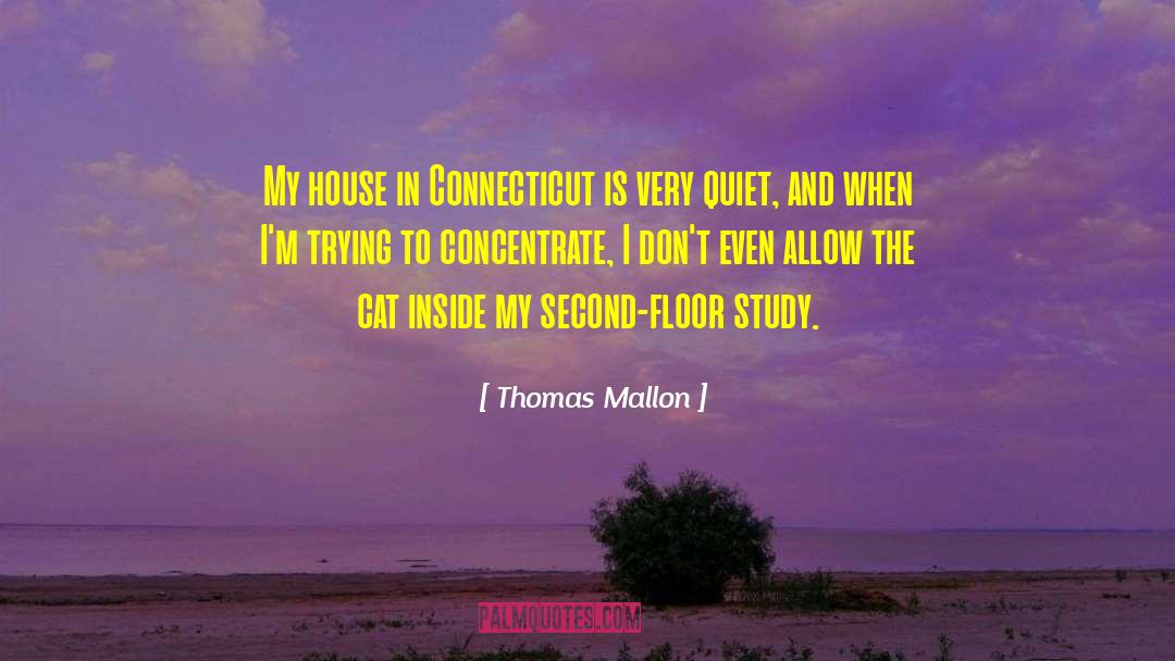 Connecticut quotes by Thomas Mallon