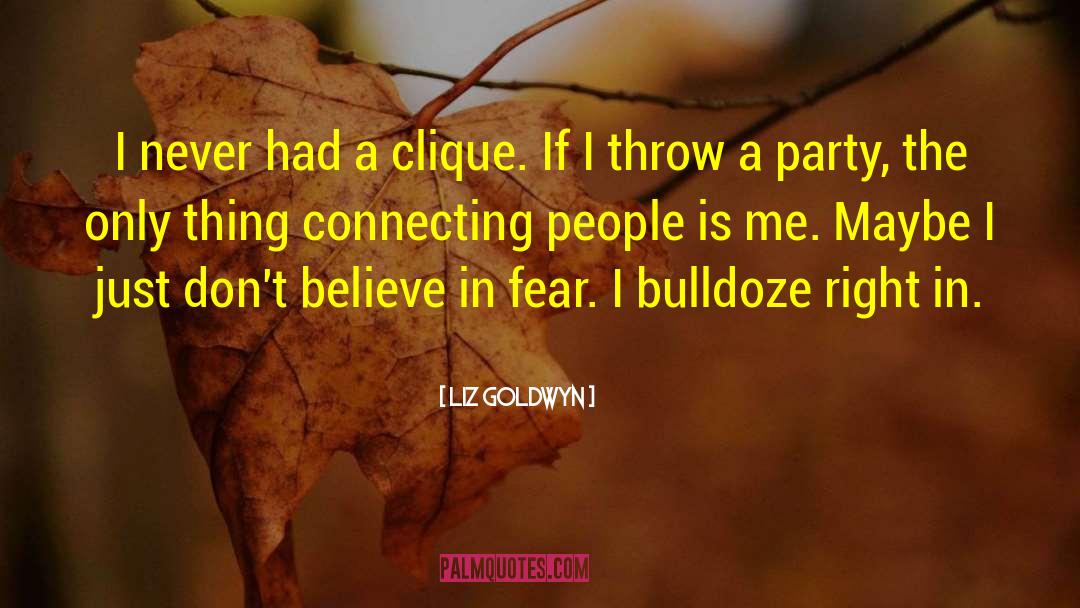Connecting People quotes by Liz Goldwyn