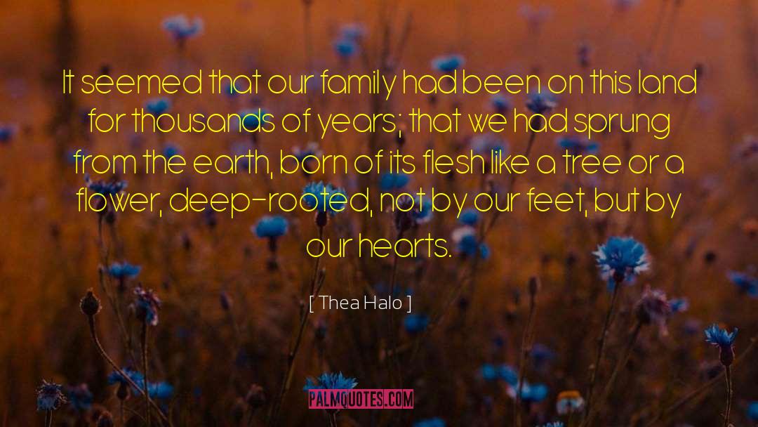 Connection To Land quotes by Thea Halo