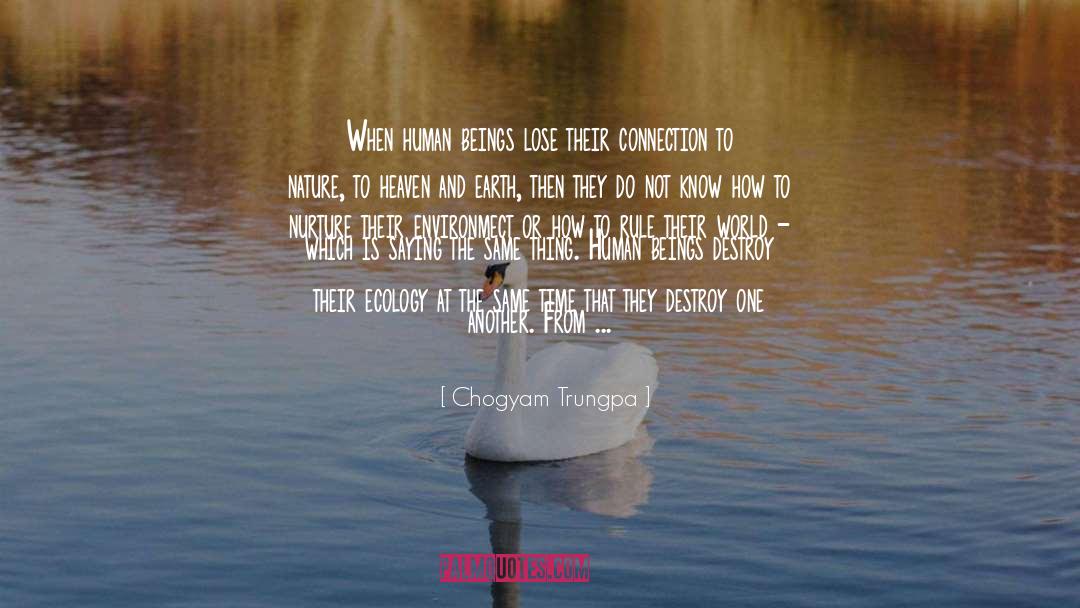 Connection To Nature quotes by Chogyam Trungpa