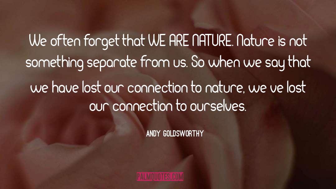 Connection To Nature quotes by Andy Goldsworthy