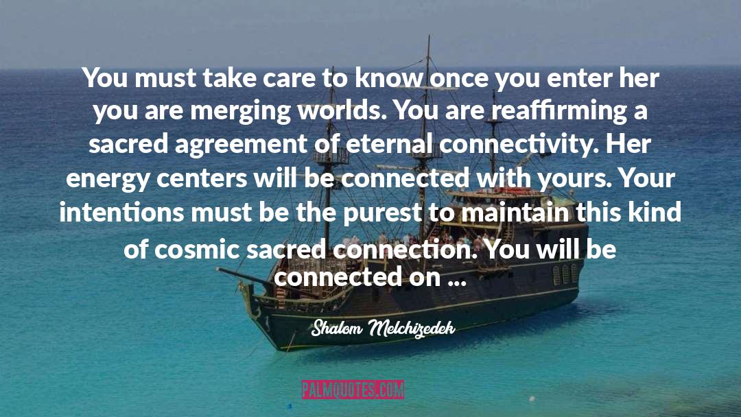 Connectivity quotes by Shalom Melchizedek