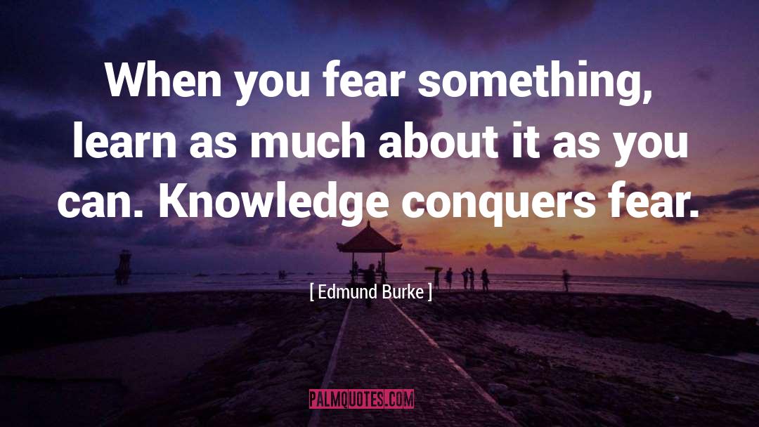 Conquer quotes by Edmund Burke