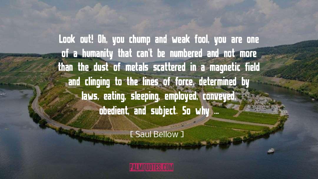 Conquer Your Fears quotes by Saul Bellow