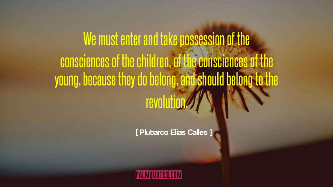 Consciences quotes by Plutarco Elias Calles