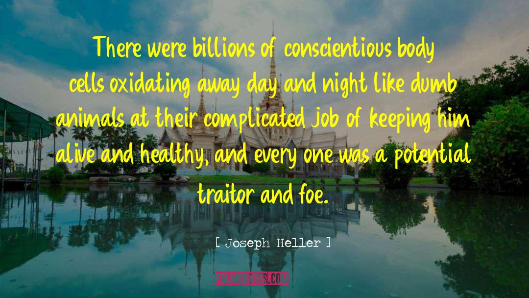 Conscientious Objectors quotes by Joseph Heller