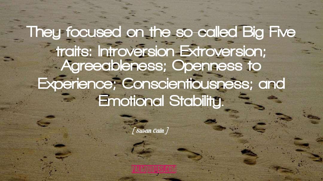 Conscientiousness quotes by Susan Cain