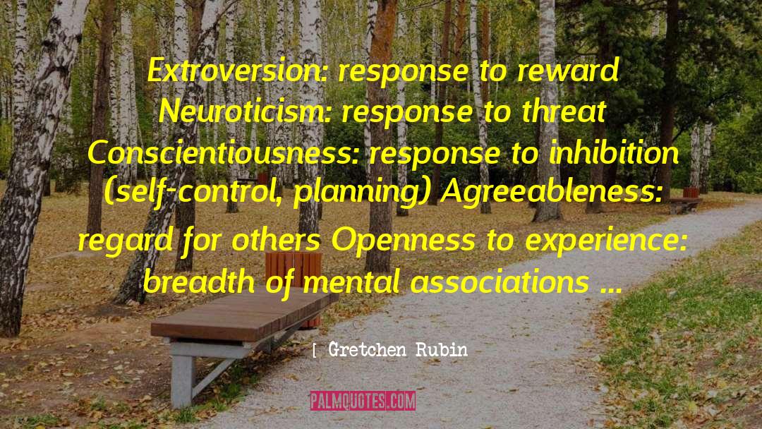 Conscientiousness quotes by Gretchen Rubin