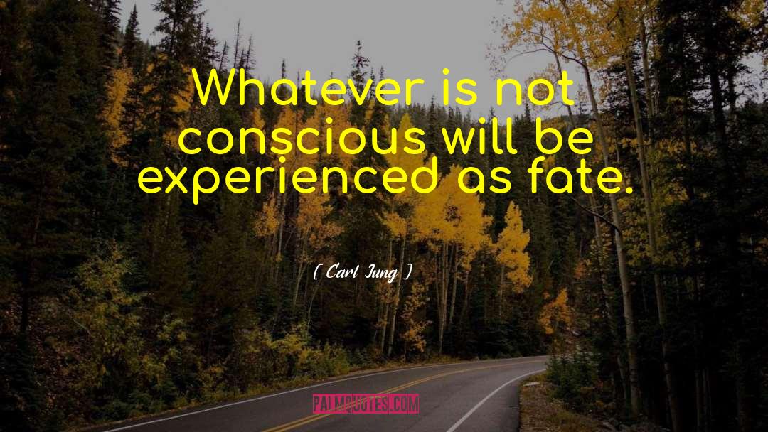 Conscious Consumerism quotes by Carl Jung