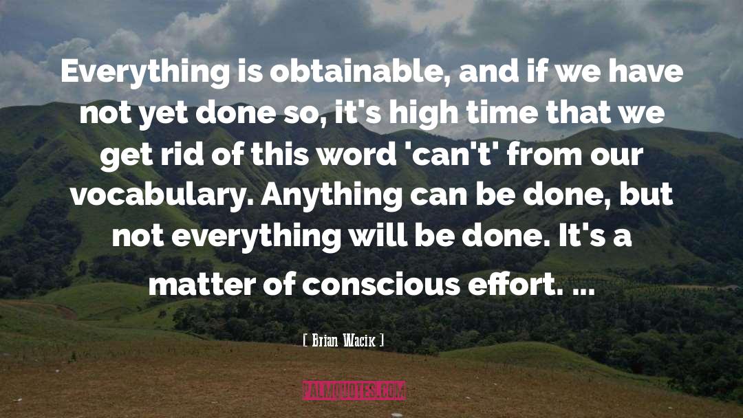 Conscious Effort quotes by Brian Wacik