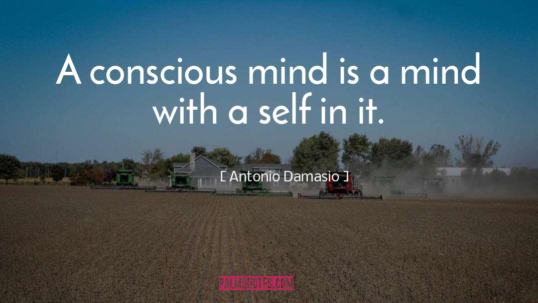 Conscious quotes by Antonio Damasio