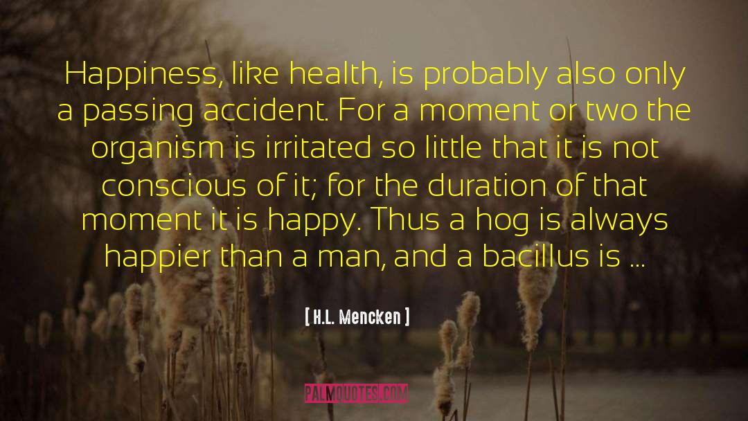 Conscious Reflection quotes by H.L. Mencken