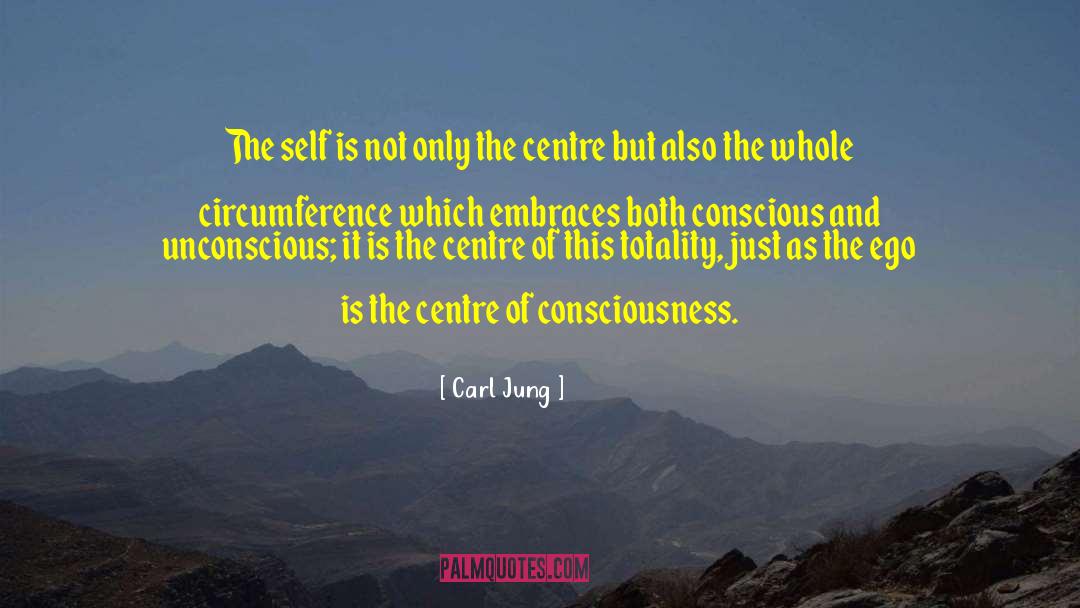 Conscious Reflection quotes by Carl Jung