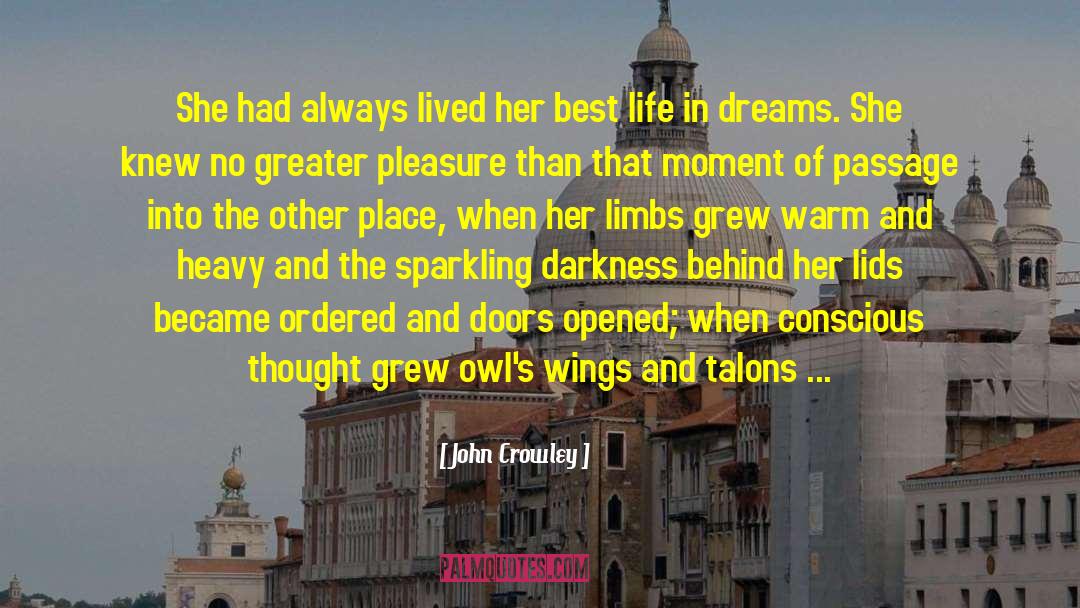 Conscious Thought quotes by John Crowley