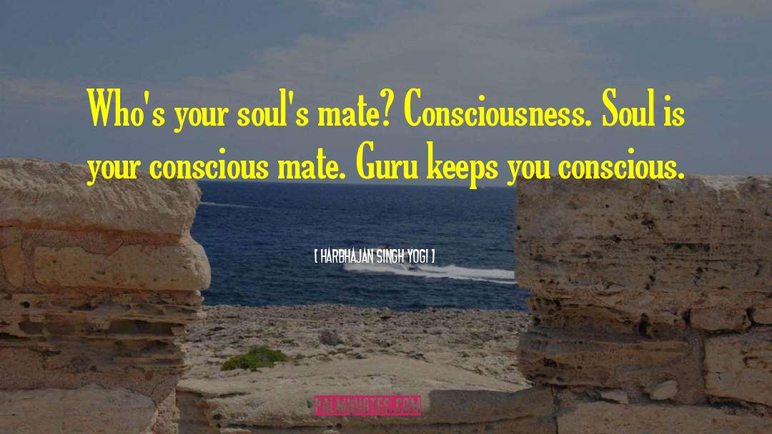 Consciousness Explained quotes by Harbhajan Singh Yogi