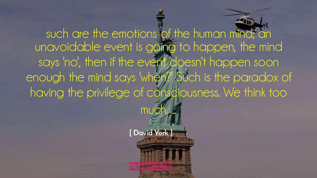 Consciousness Mind Brain quotes by David York