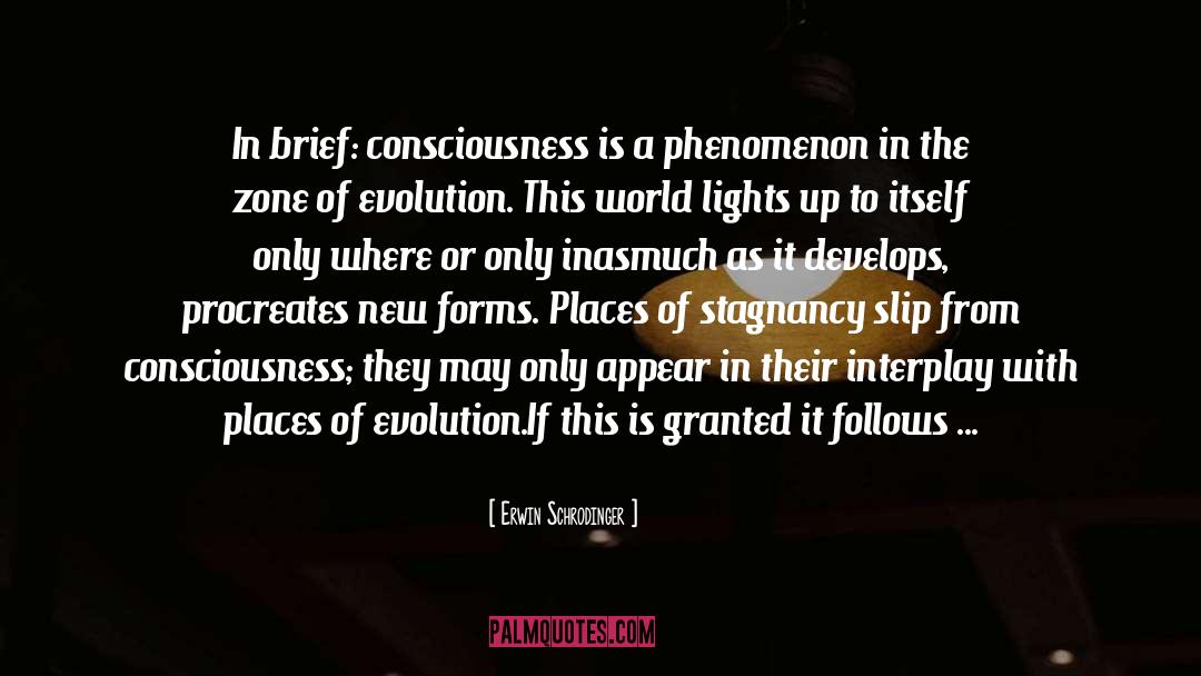 Consciousness Mind Brain quotes by Erwin Schrodinger