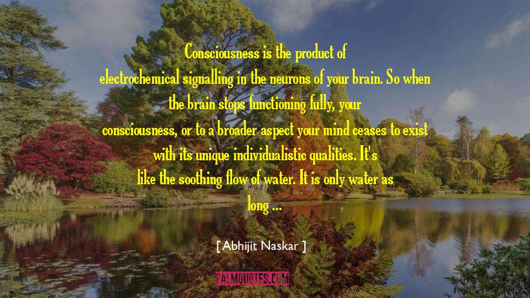 Consciousness Mind Brain quotes by Abhijit Naskar