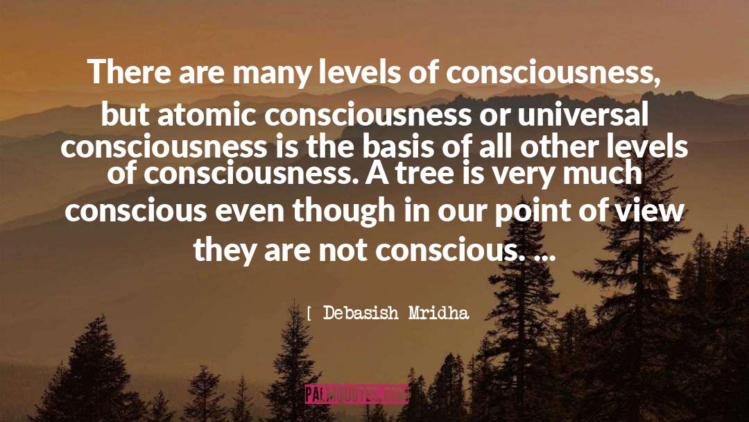 Consciousness quotes by Debasish Mridha