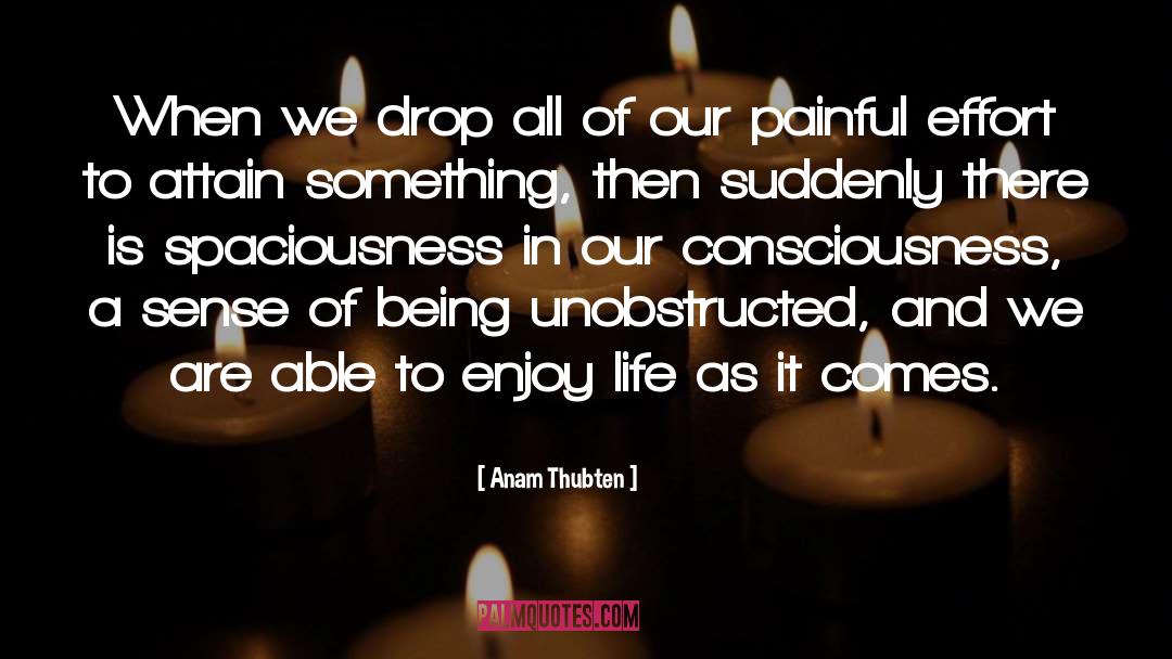 Consciousness quotes by Anam Thubten