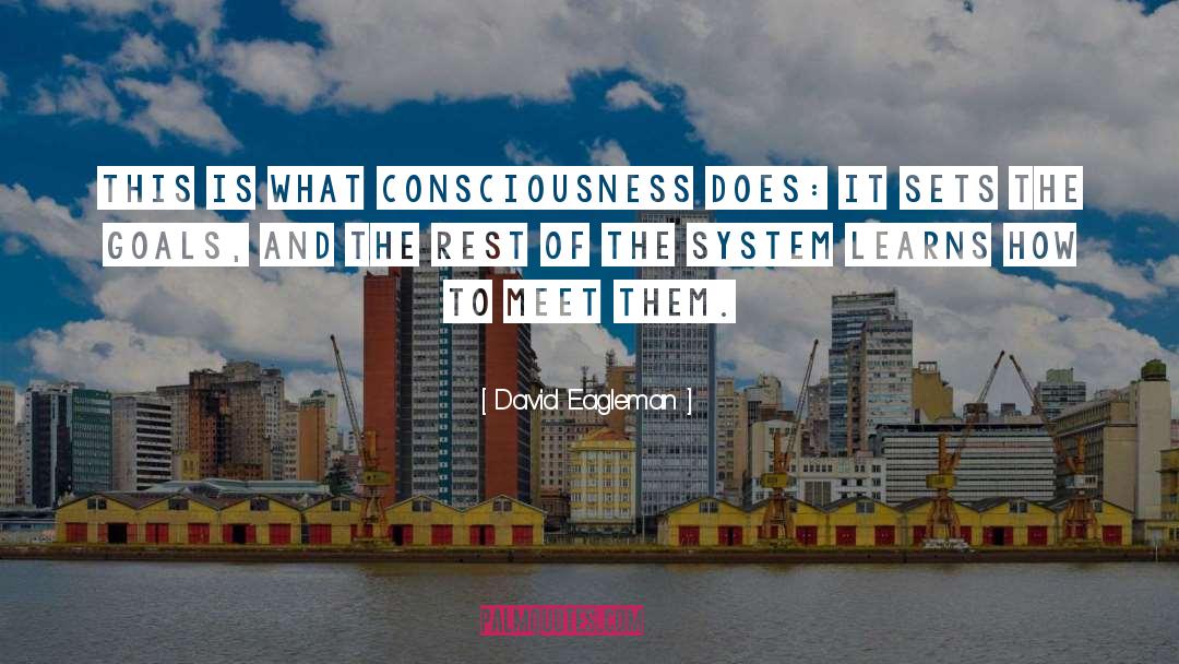 Consciousness quotes by David Eagleman