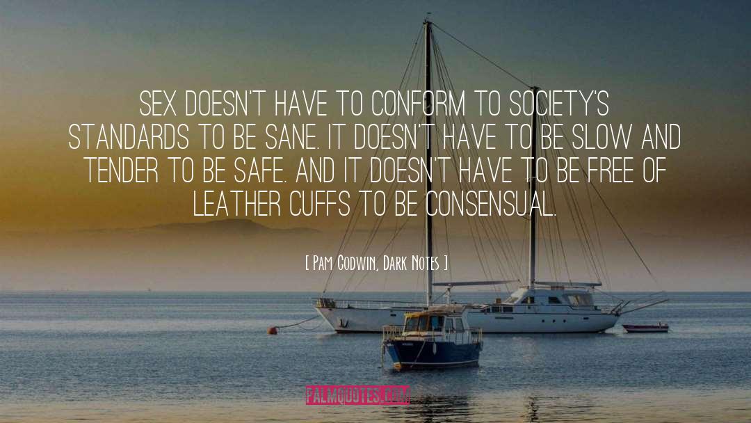 Consensual quotes by Pam Godwin, Dark Notes