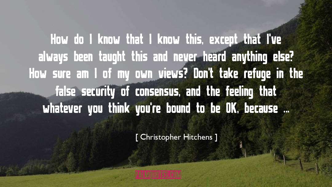 Consensus quotes by Christopher Hitchens