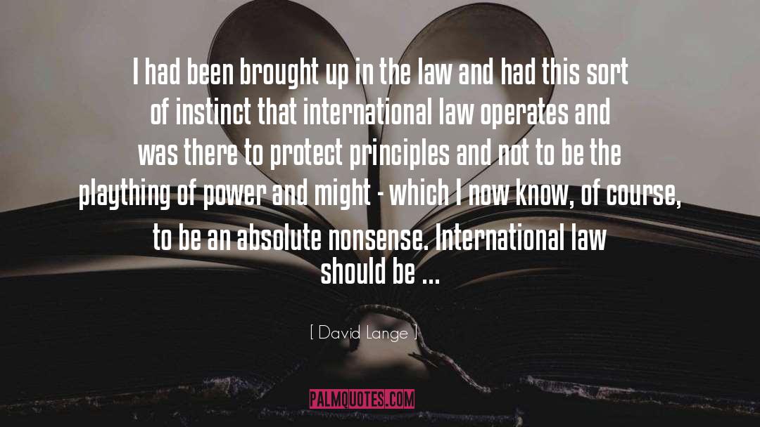 Conservation Law quotes by David Lange