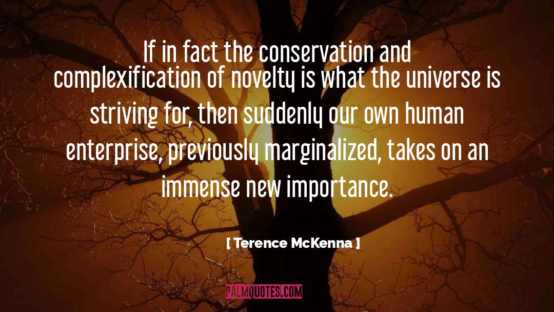 Conservation quotes by Terence McKenna