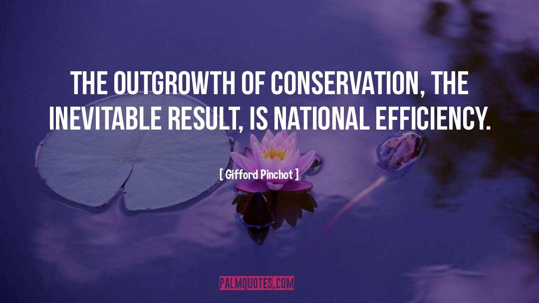 Conservation quotes by Gifford Pinchot