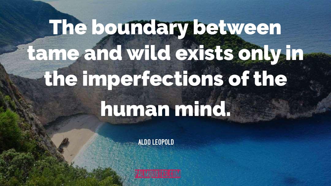 Conservation quotes by Aldo Leopold