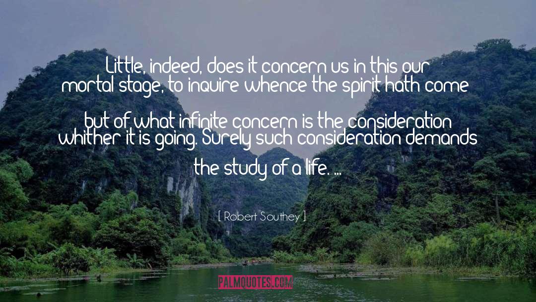 Consideration quotes by Robert Southey