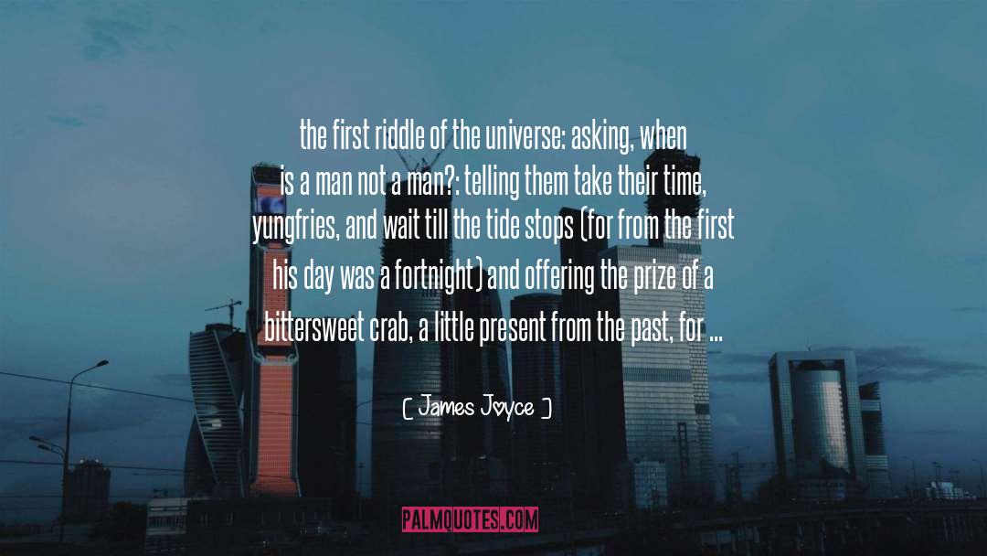 Consolation Prize quotes by James Joyce