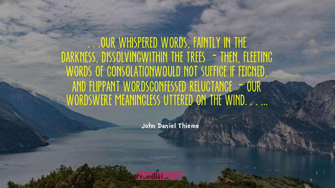 Consolation quotes by John Daniel Thieme