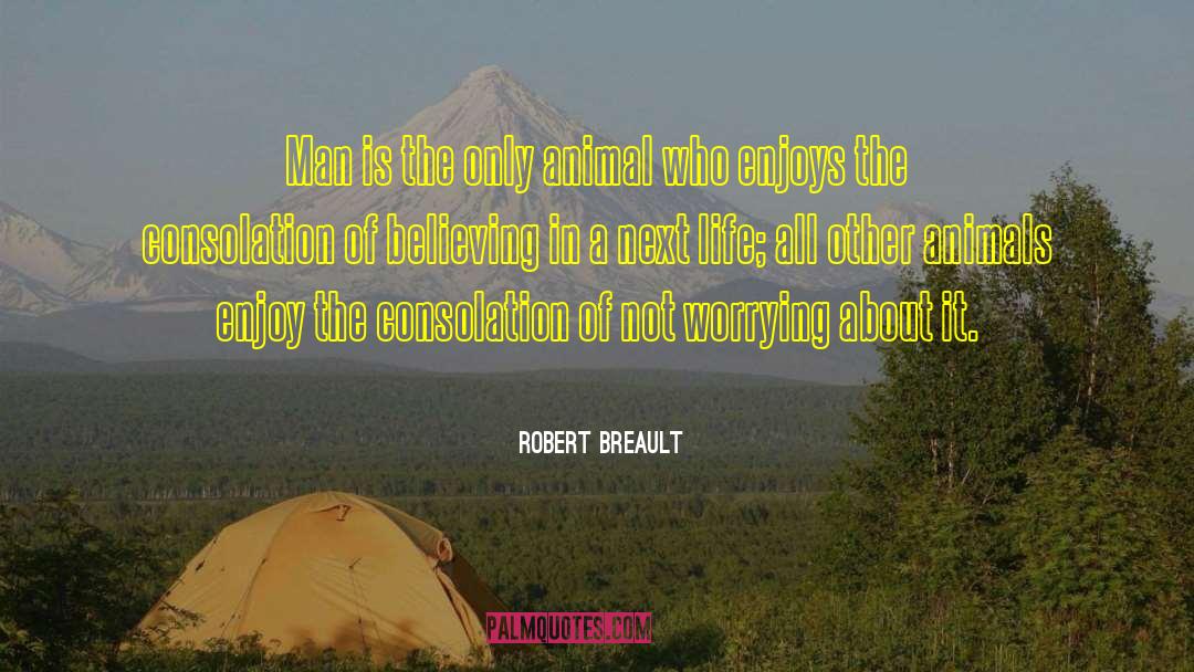 Consolation quotes by Robert Breault
