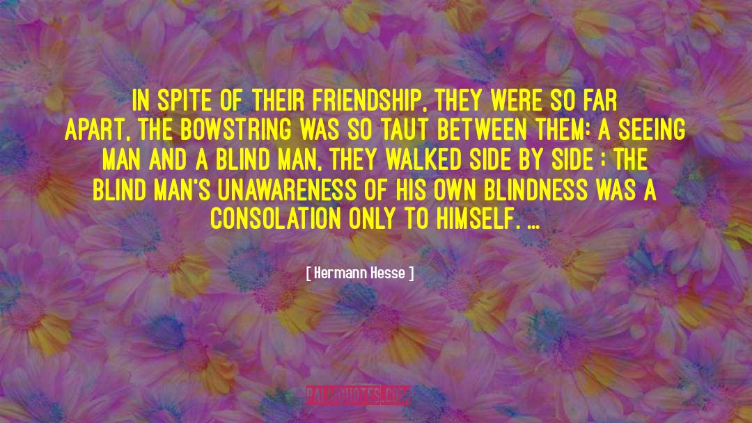 Consolation quotes by Hermann Hesse