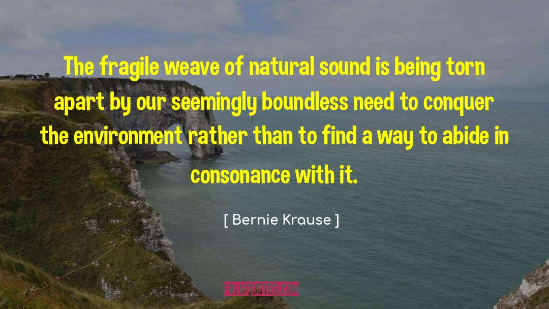 Consonance quotes by Bernie Krause