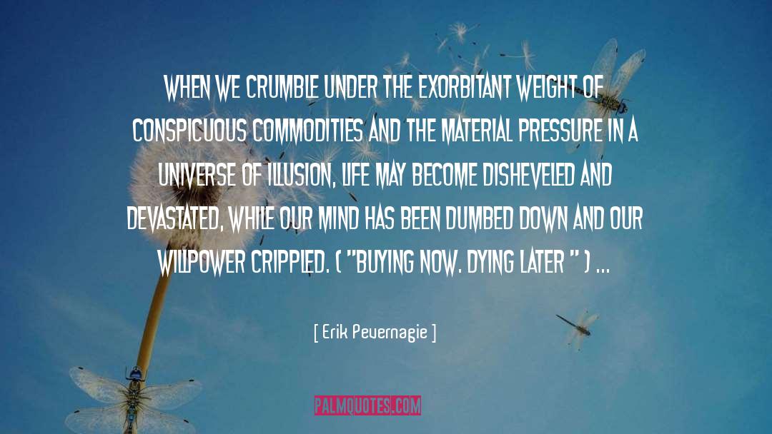 Conspicuous Consumption quotes by Erik Pevernagie
