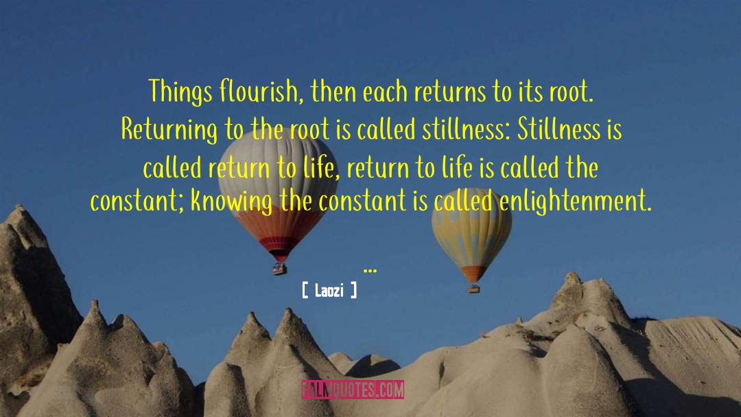 Constant Reminder quotes by Laozi