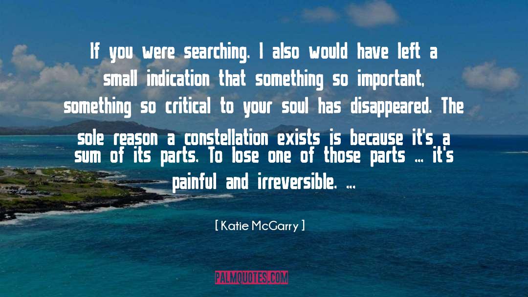Constellation quotes by Katie McGarry