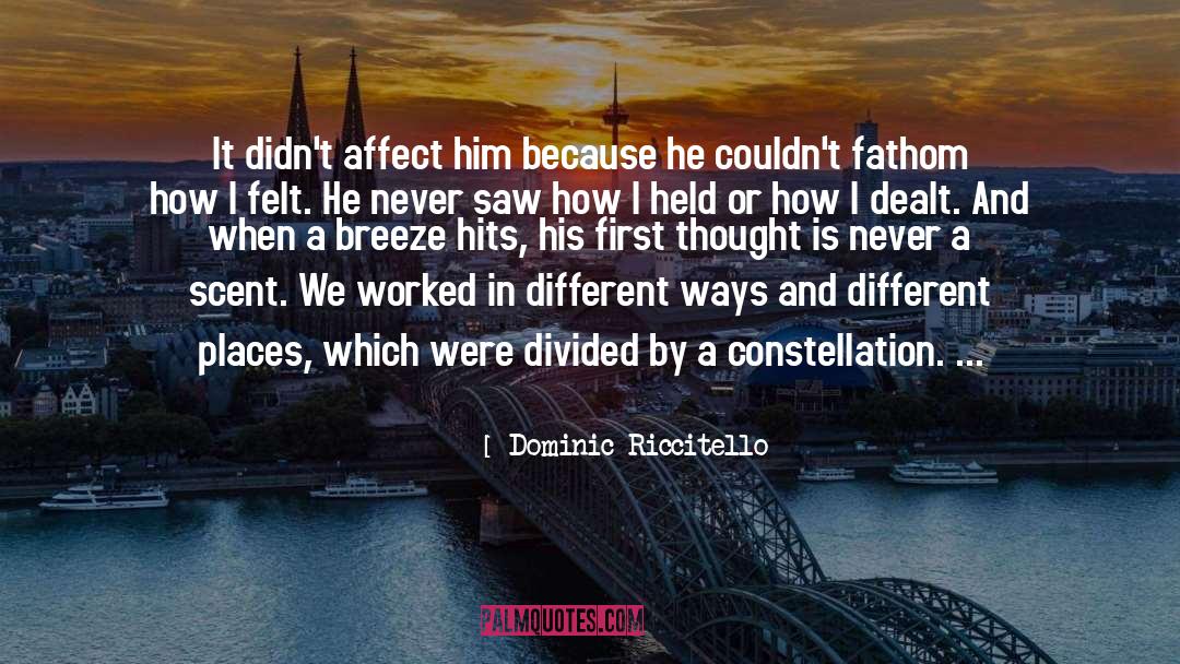 Constellation quotes by Dominic Riccitello