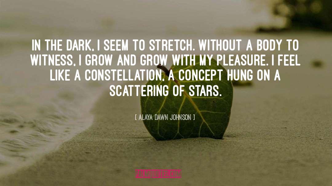 Constellation quotes by Alaya Dawn Johnson