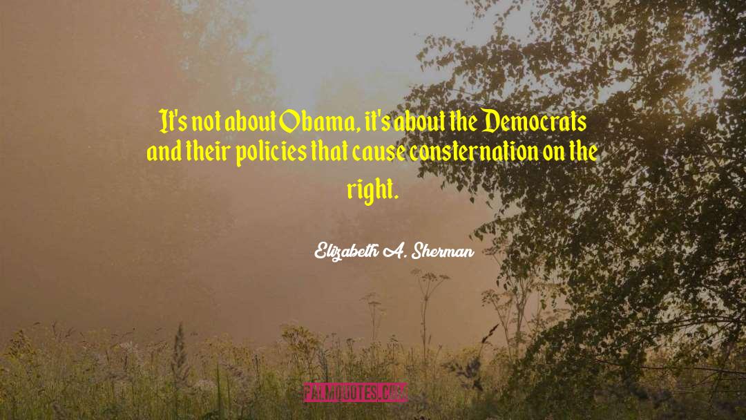 Consternation quotes by Elizabeth A. Sherman